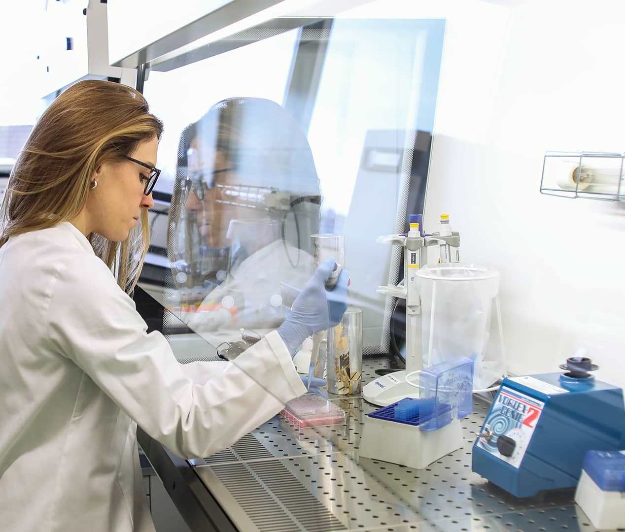 labs labs
